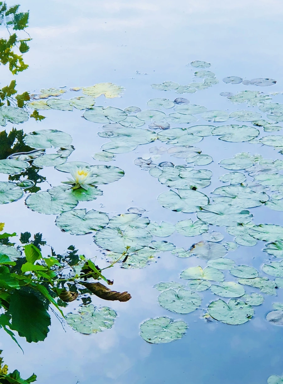 IMG_4938.jpg?type=w966