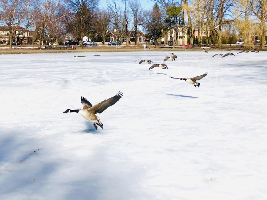 IMG_4835.jpg?type=w966