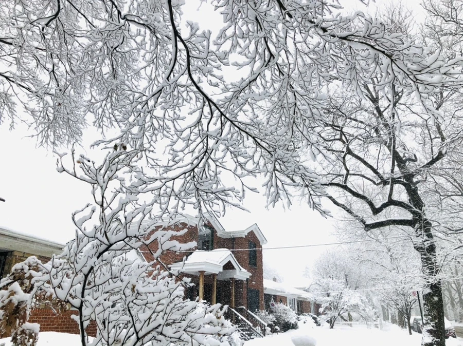 IMG_1056.jpg?type=w966