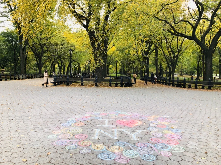 IMG_3074.jpg?type=w966