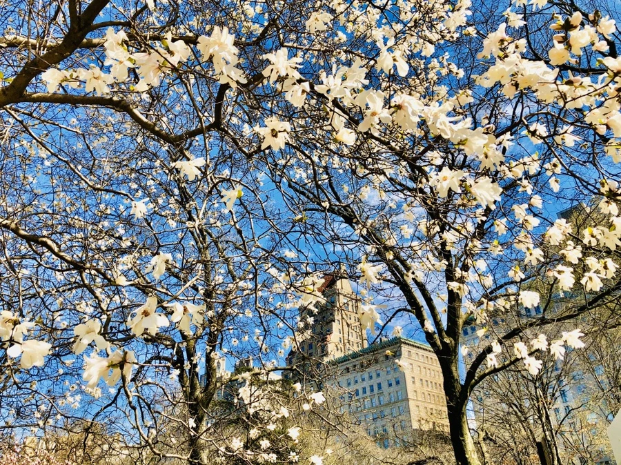 IMG_6611.jpg?type=w966