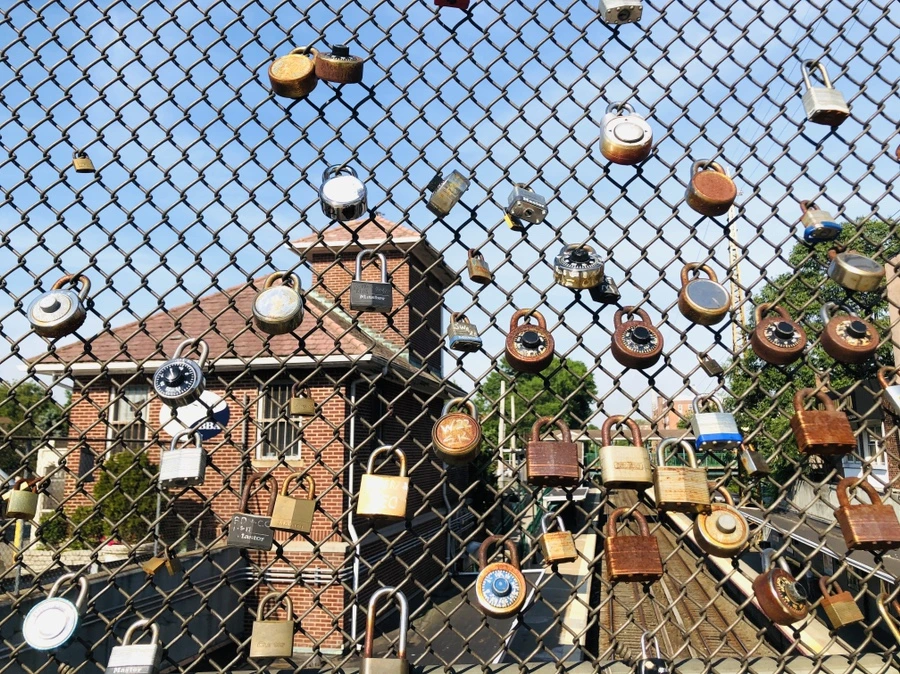 IMG_5058.jpg?type=w966