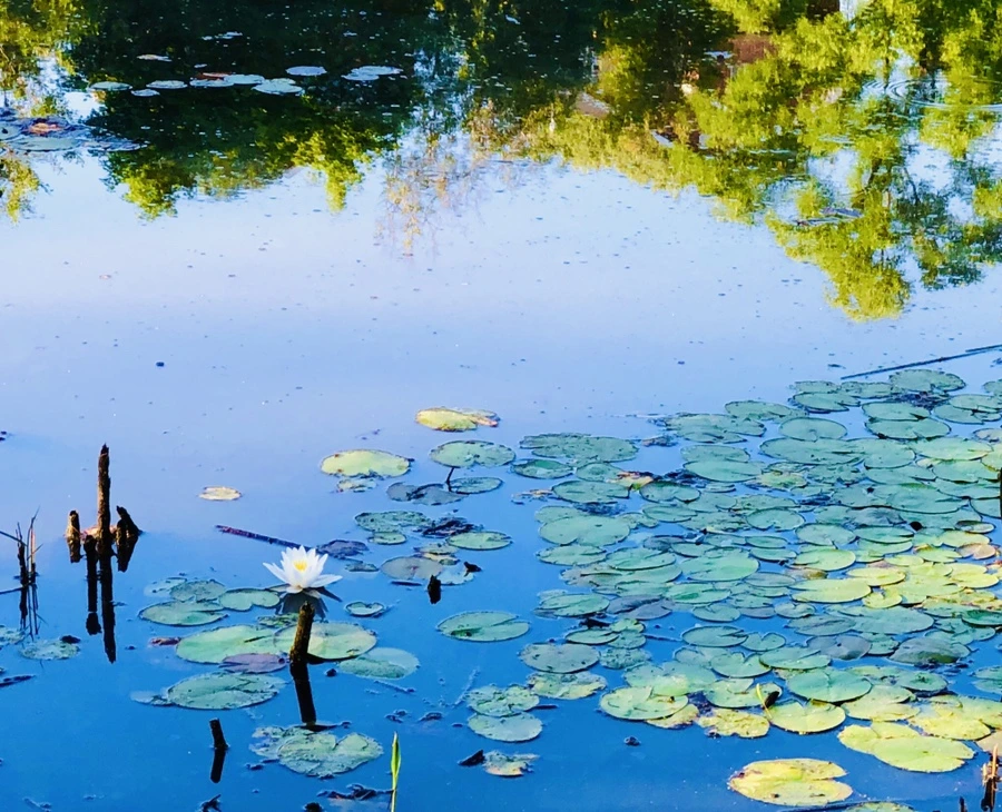 IMG_3819.jpg?type=w966