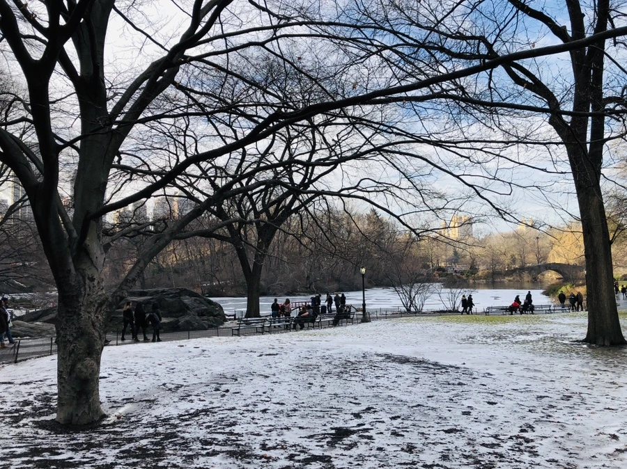 IMG_9418.jpg?type=w966