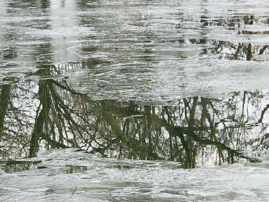 IMG_2036.jpg?type=w966