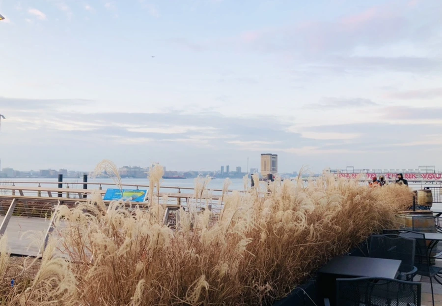 IMG_3073.jpg?type=w966