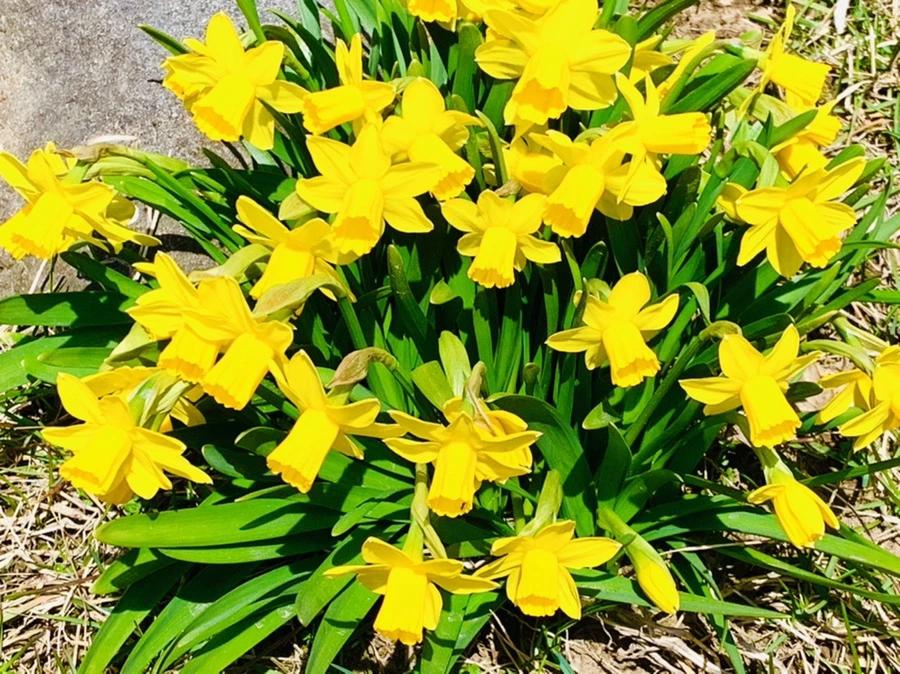 IMG_3399.jpg?type=w966