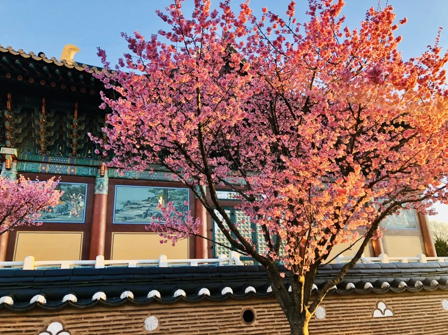 IMG_6329.jpg?type=w966