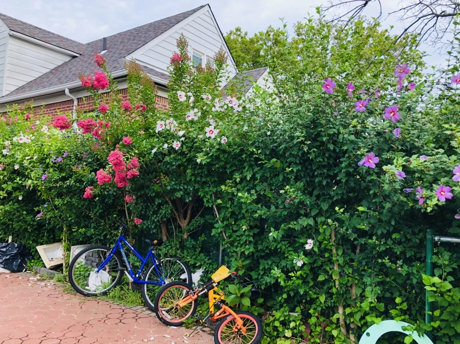 IMG_4160.jpg?type=w966