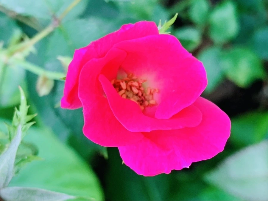 MXU1sKTq8vlaM24thCOB8QhG6CE