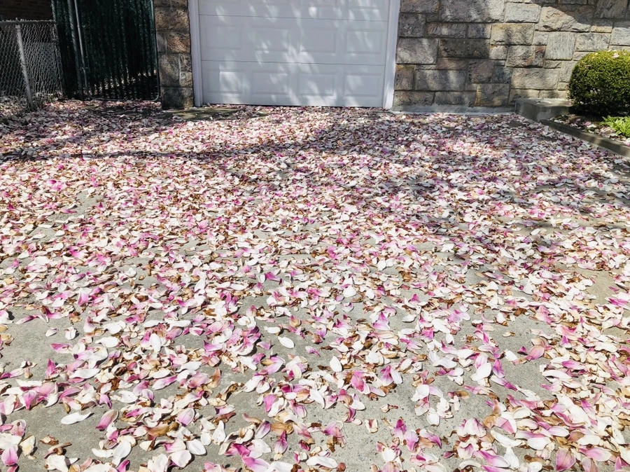 IMG_3196.jpg?type=w966