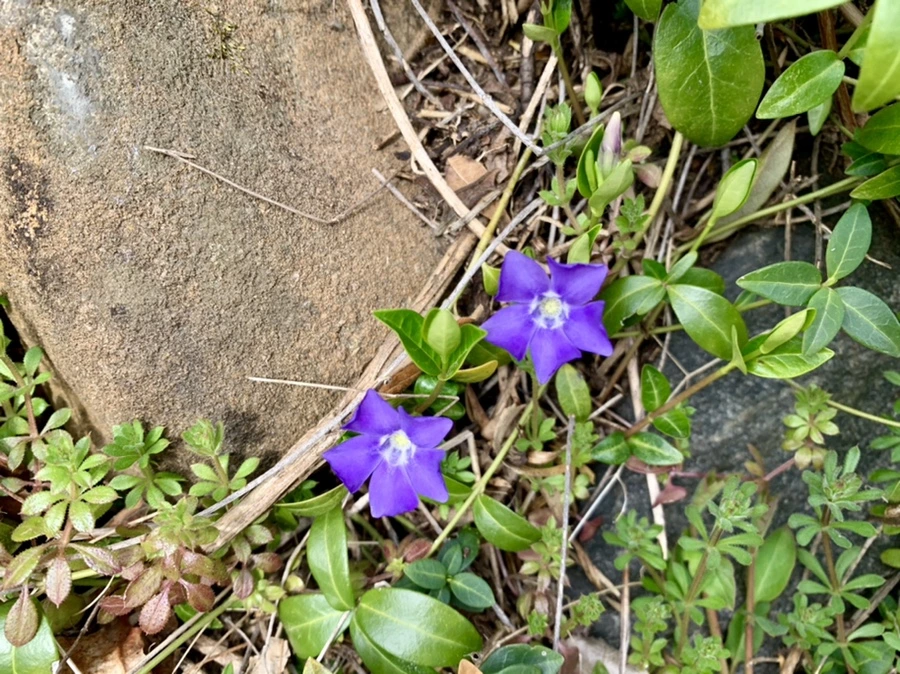 IMG_3462.jpg?type=w966