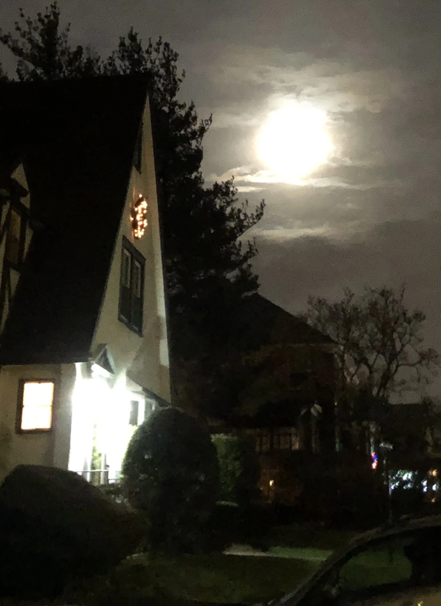 IMG_8572.jpg?type=w966