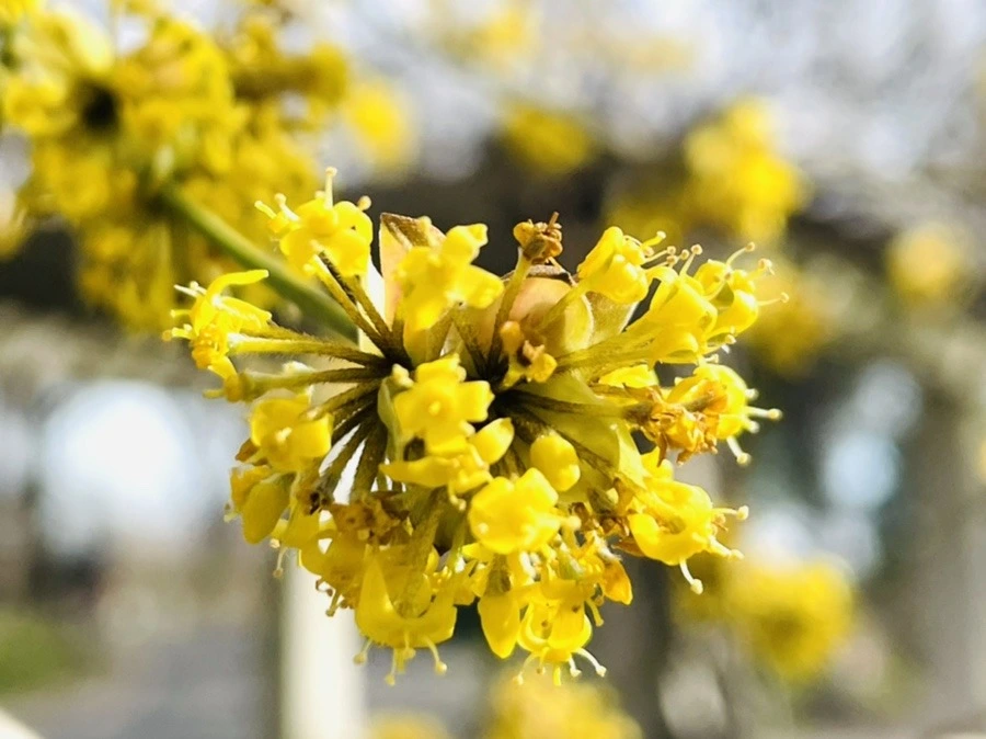 kl8fBC4GMMtLUVueNbZxn0BlvqA