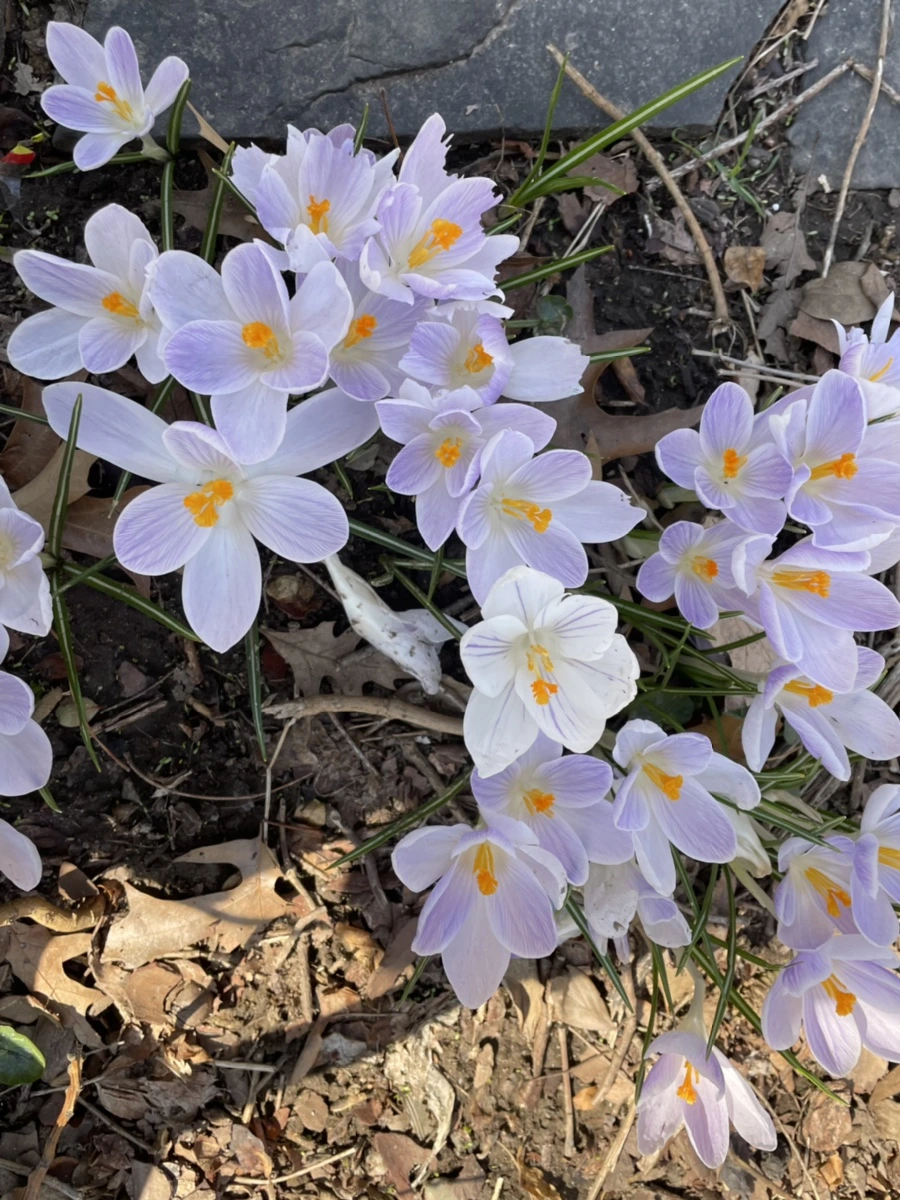 IMG_5870.jpg?type=w966