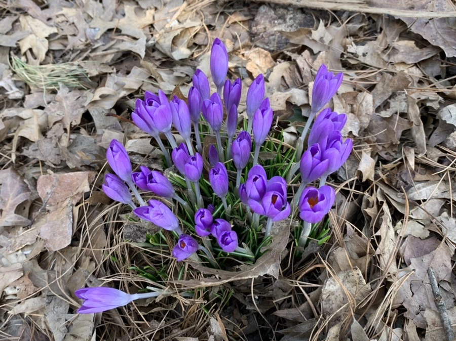 IMG_9715.jpg?type=w966