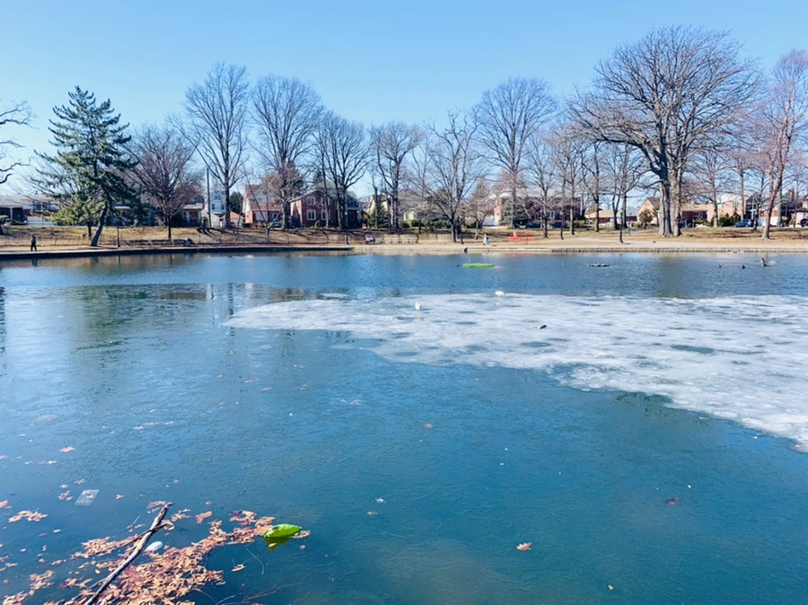 IMG_6919.jpg?type=w966