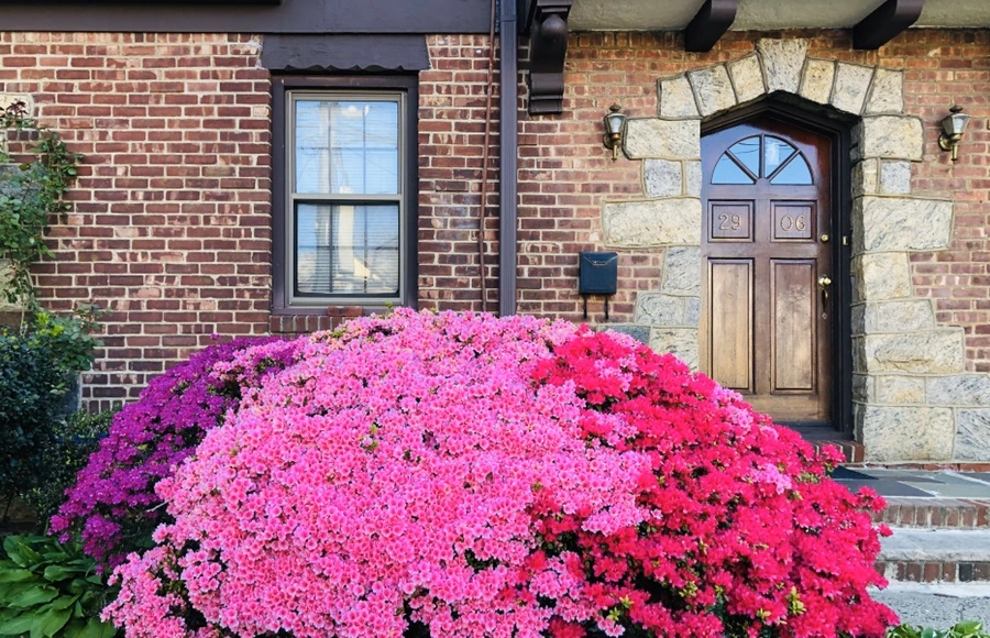 IMG_7296.jpg?type=w966