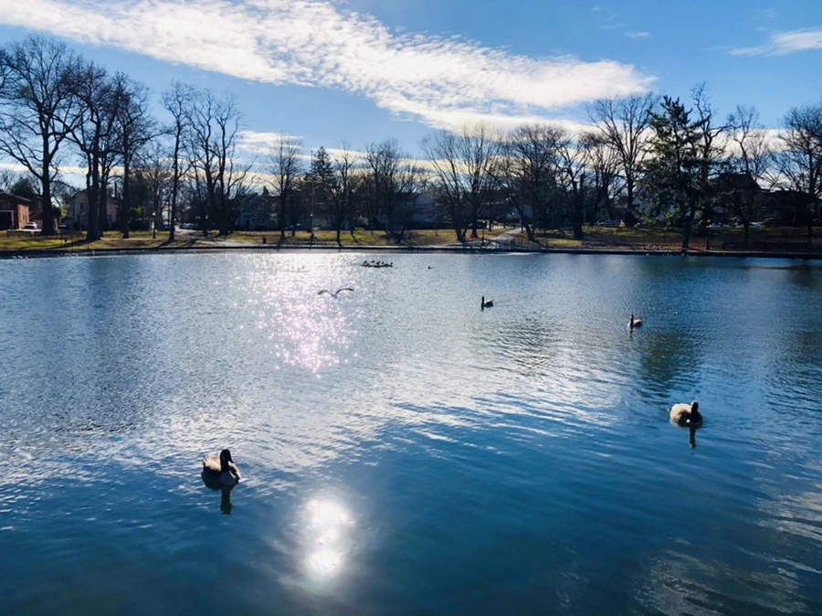 IMG_1217.jpg?type=w966