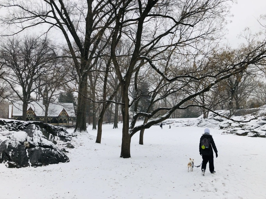 IMG_9542.jpg?type=w966