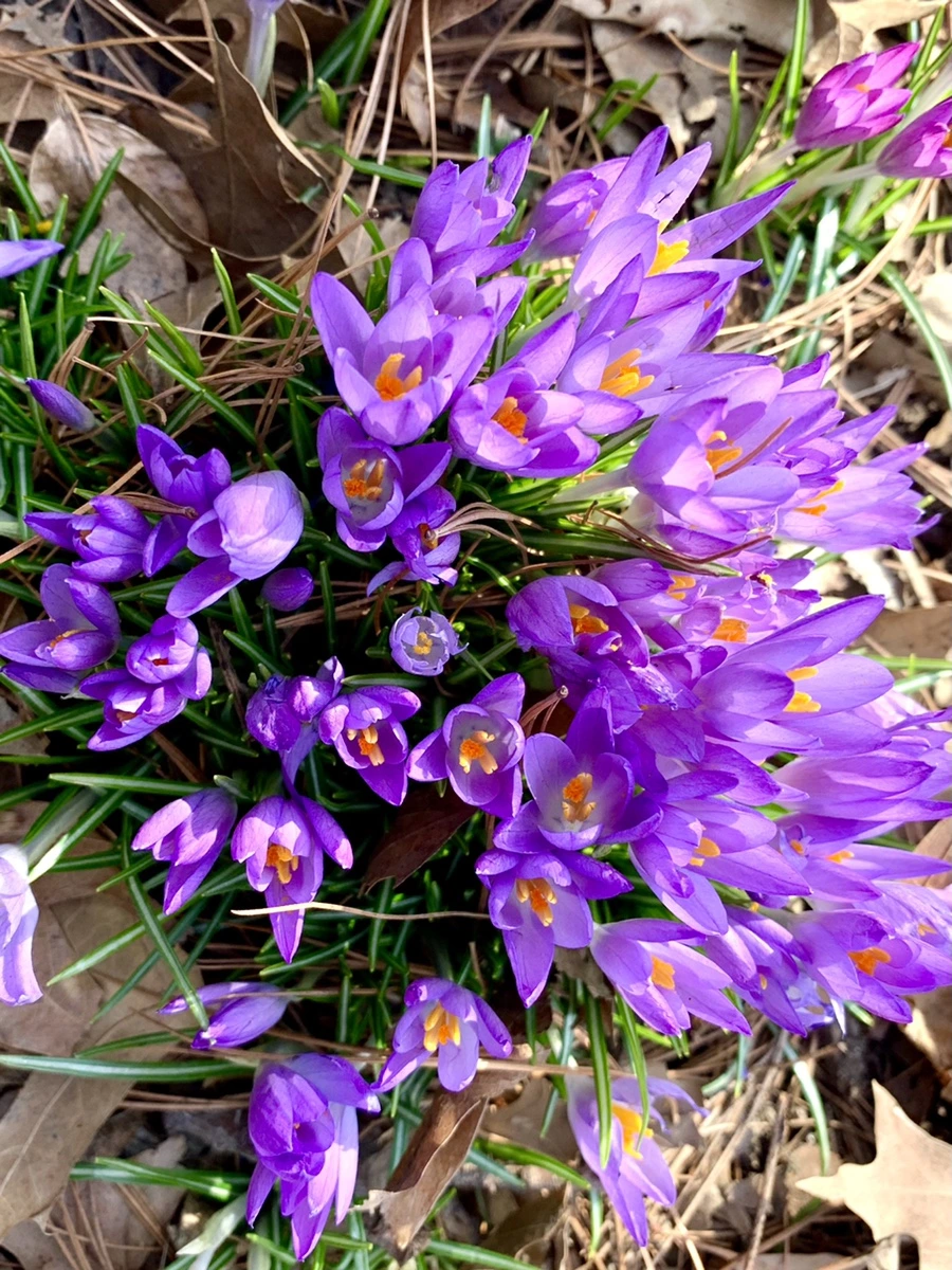 IMG_0127.jpg?type=w966