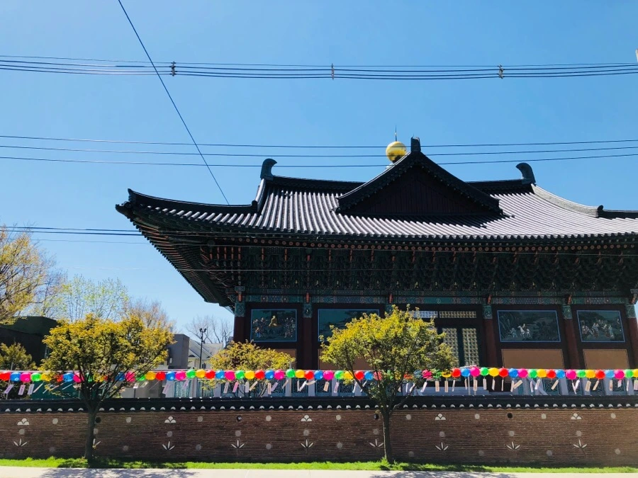 IMG_5243.jpg?type=w966