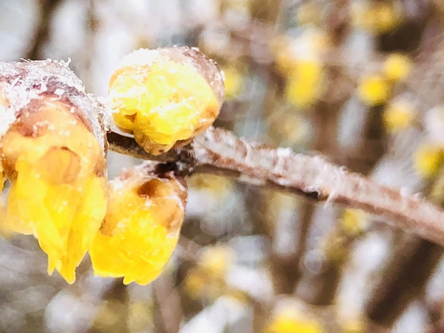 IMG_3504.jpg?type=w966