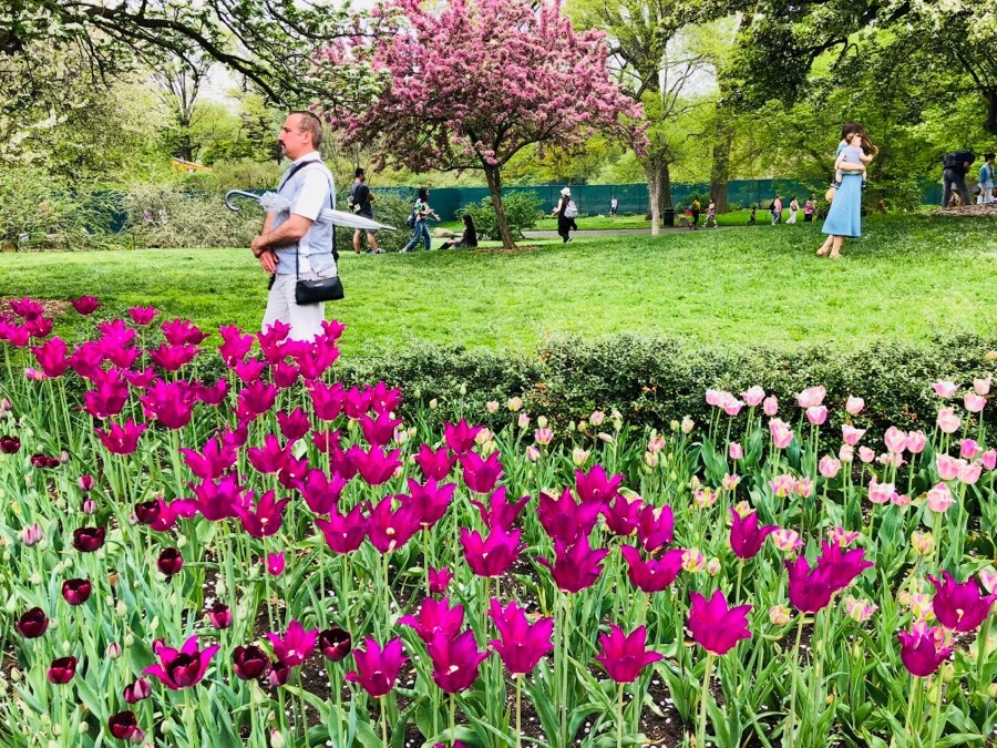 IMG_5495.jpg?type=w966