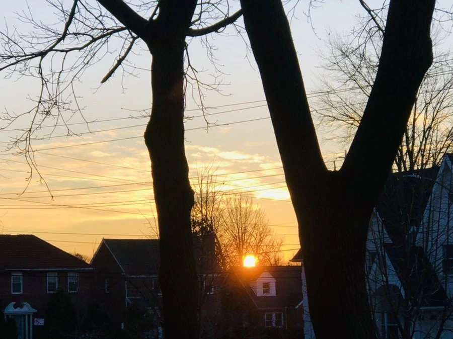 3x_RmeKEVXDY9MjXjzMX3mLOnUM