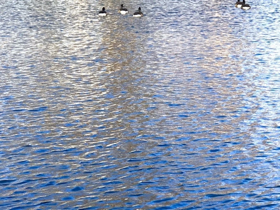 dHeredIELiYRWzoLoAOZVzDMS9I