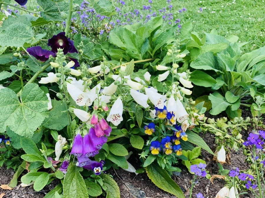 IMG_6796.jpg?type=w966