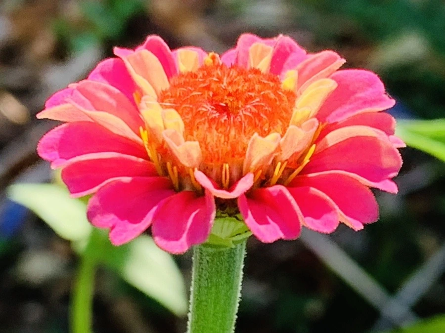 Dopi0kmpJ4hYGf2tTUcawKL18K0