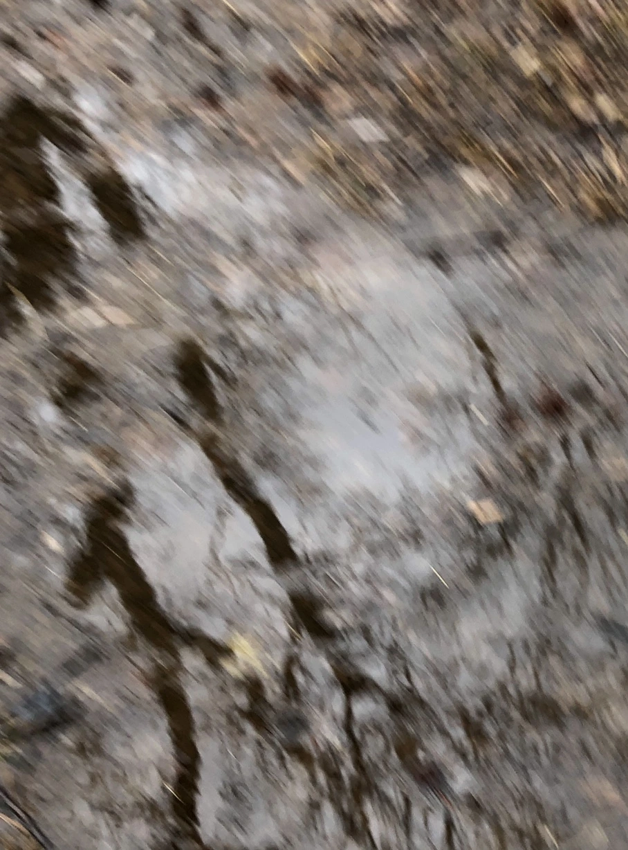 IMG_6537.jpg?type=w966