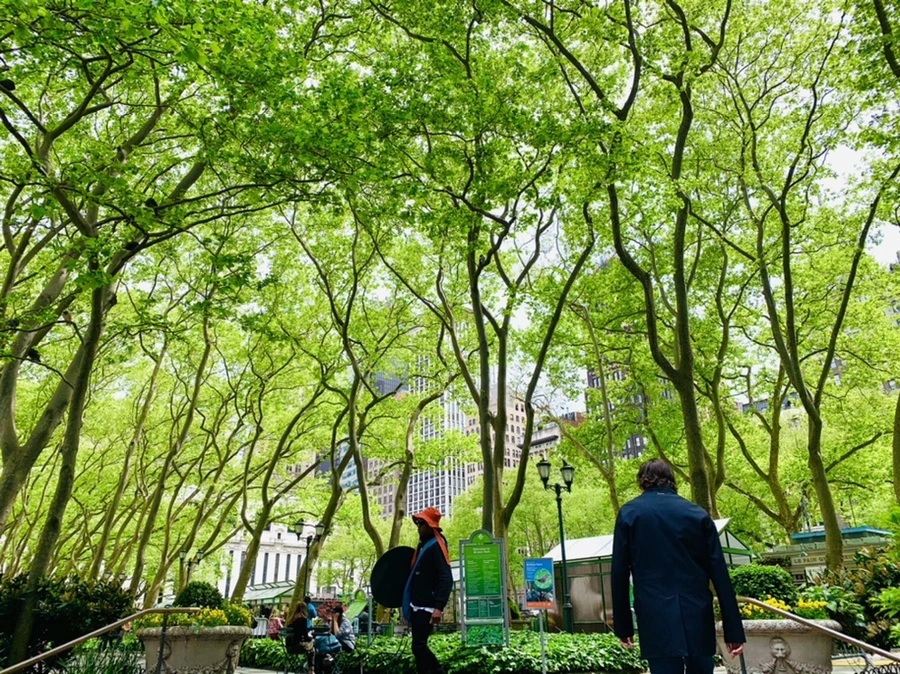 IMG_1681.jpg?type=w966