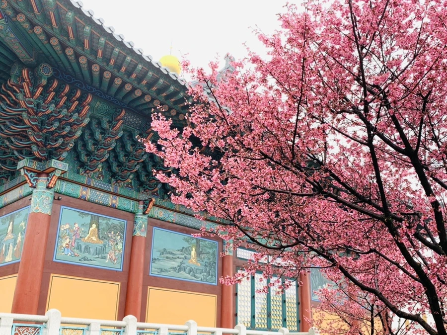 IMG_5208.jpg?type=w966