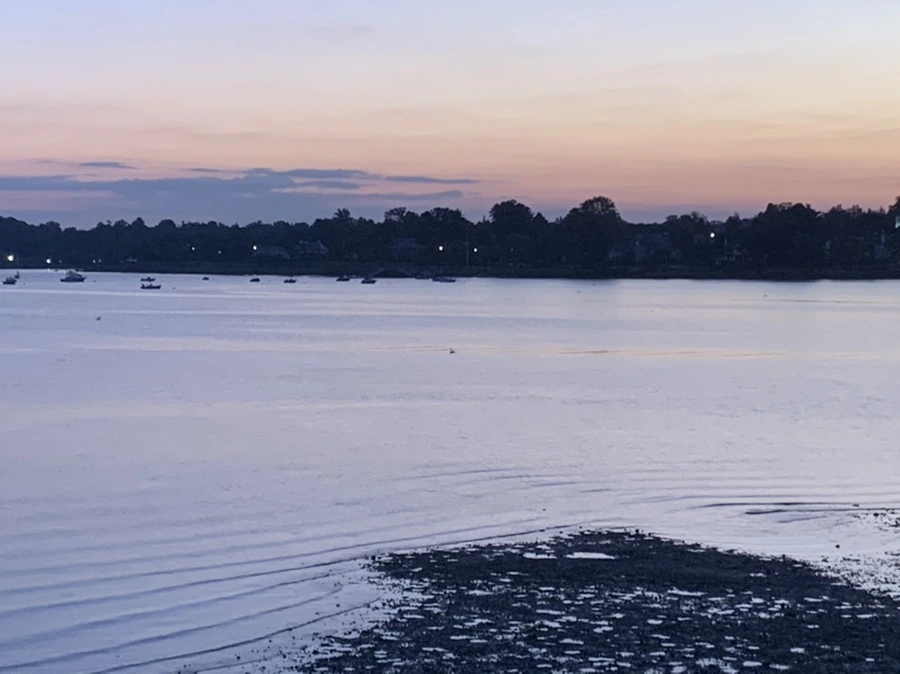 IMG_8710.jpg?type=w966