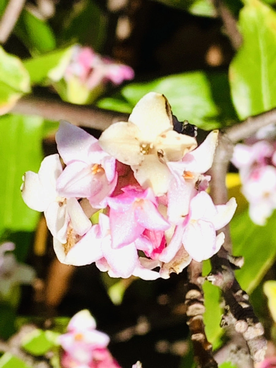 IMG_5777.jpg?type=w966