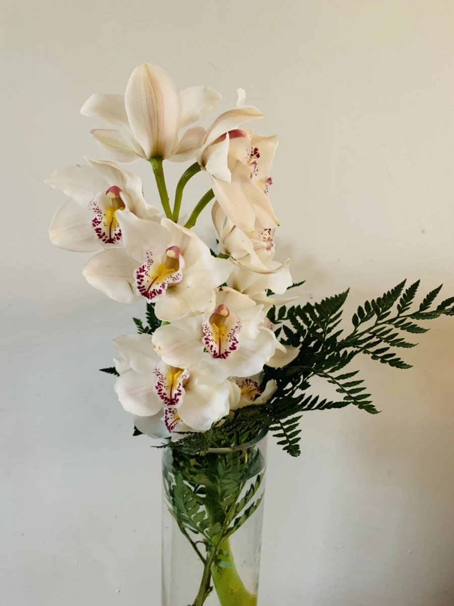 IMG_7419.jpg?type=w966