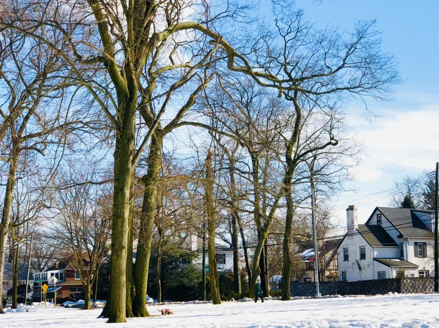 IMG_2991.jpg?type=w966