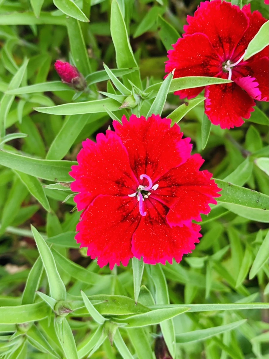 IMG_9015.jpg?type=w966