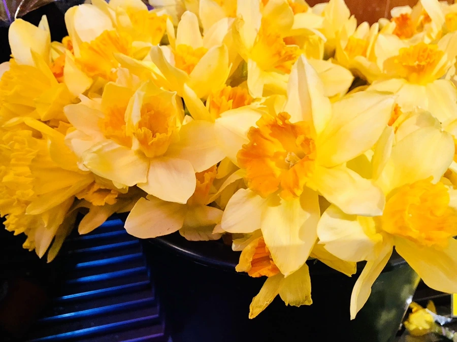 IMG_6395.jpg?type=w966