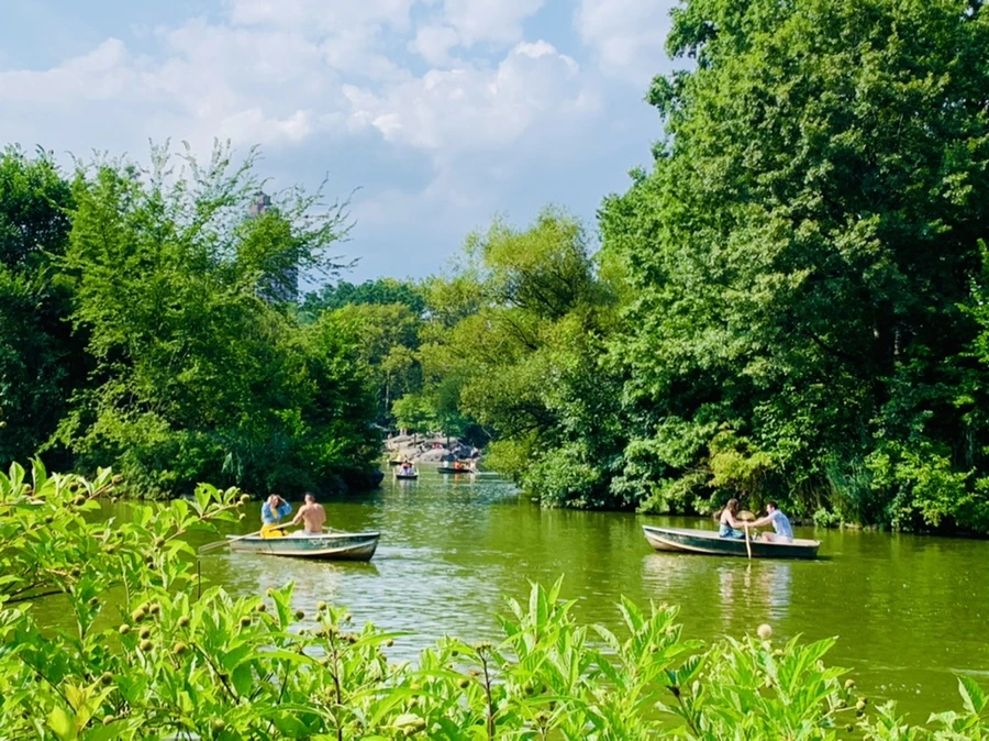 IMG_0659.jpg?type=w966