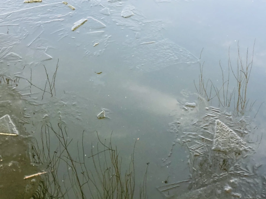 IMG_2543.jpg?type=w966