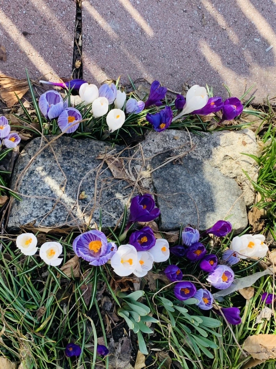 Ebt01W-HjUupbQn3r-NkVwgsSgw