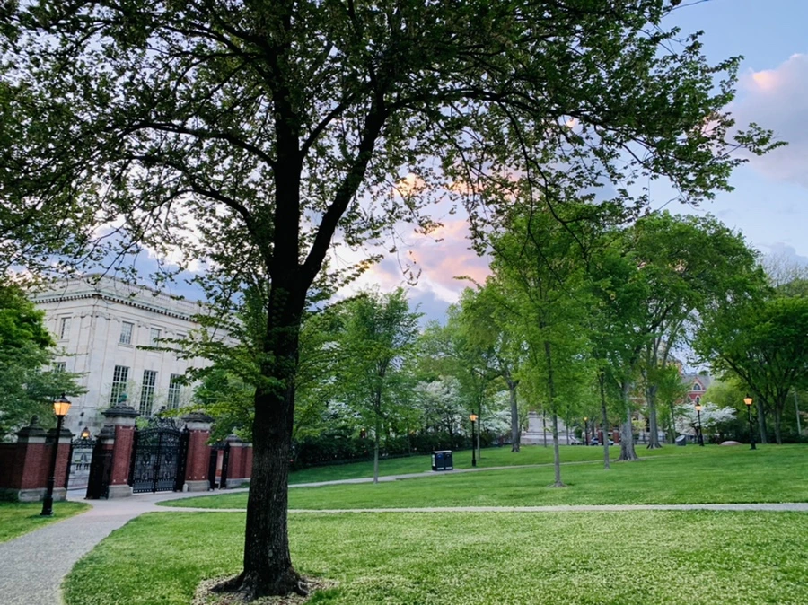 IMG_2569.jpg?type=w966