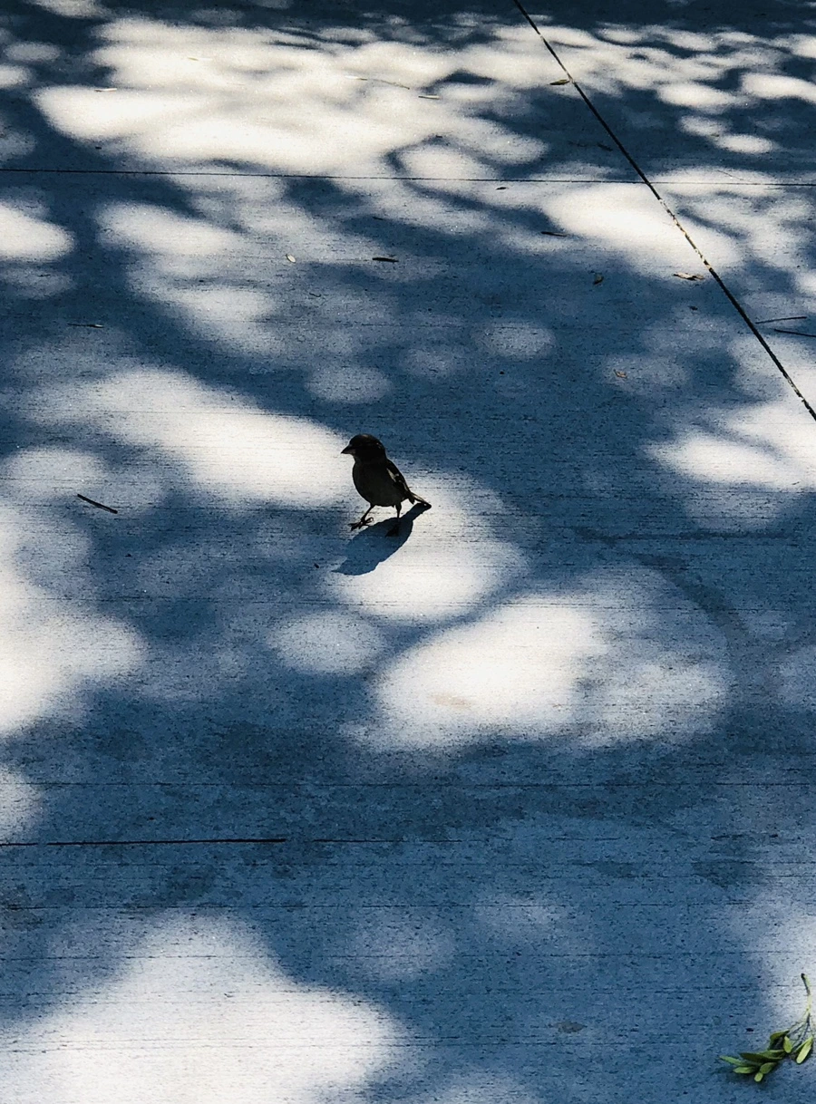 IMG_3488.jpg?type=w966