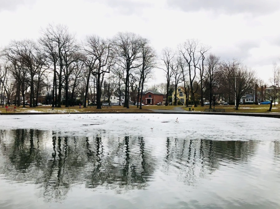 IMG_6458.jpg?type=w966