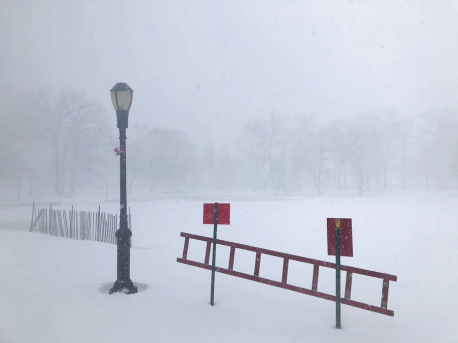 IMG_8814.jpg?type=w966