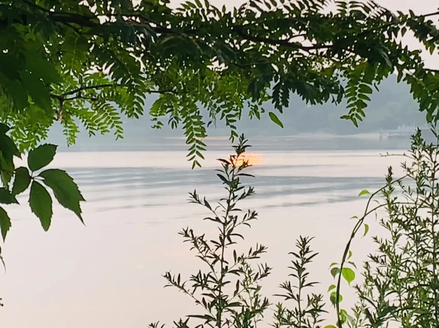 IMG_8508.jpg?type=w966