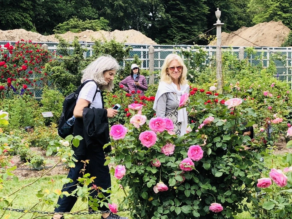 IMG_5942.jpg?type=w966